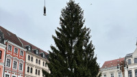 VÁNOČNÍ STROM 2022 315983283 819145532841107 204163935117847923 n